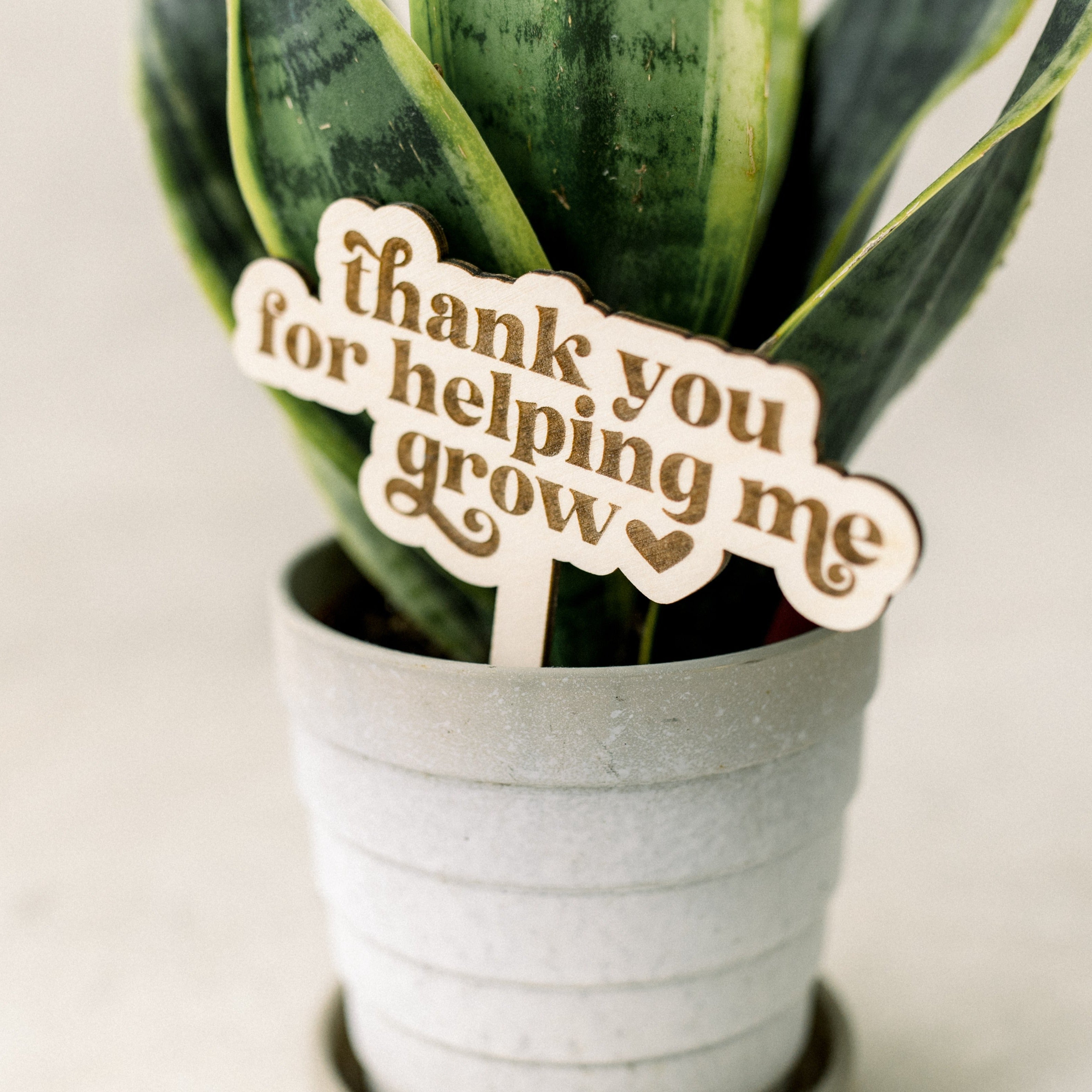 succulent thank you for helping me grow Thank You For Helping Me Grow Plant Stake