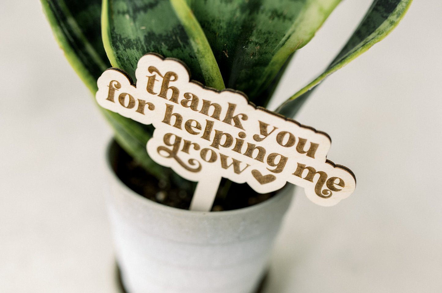 Thank You For Helping Me Grow Plant Stake