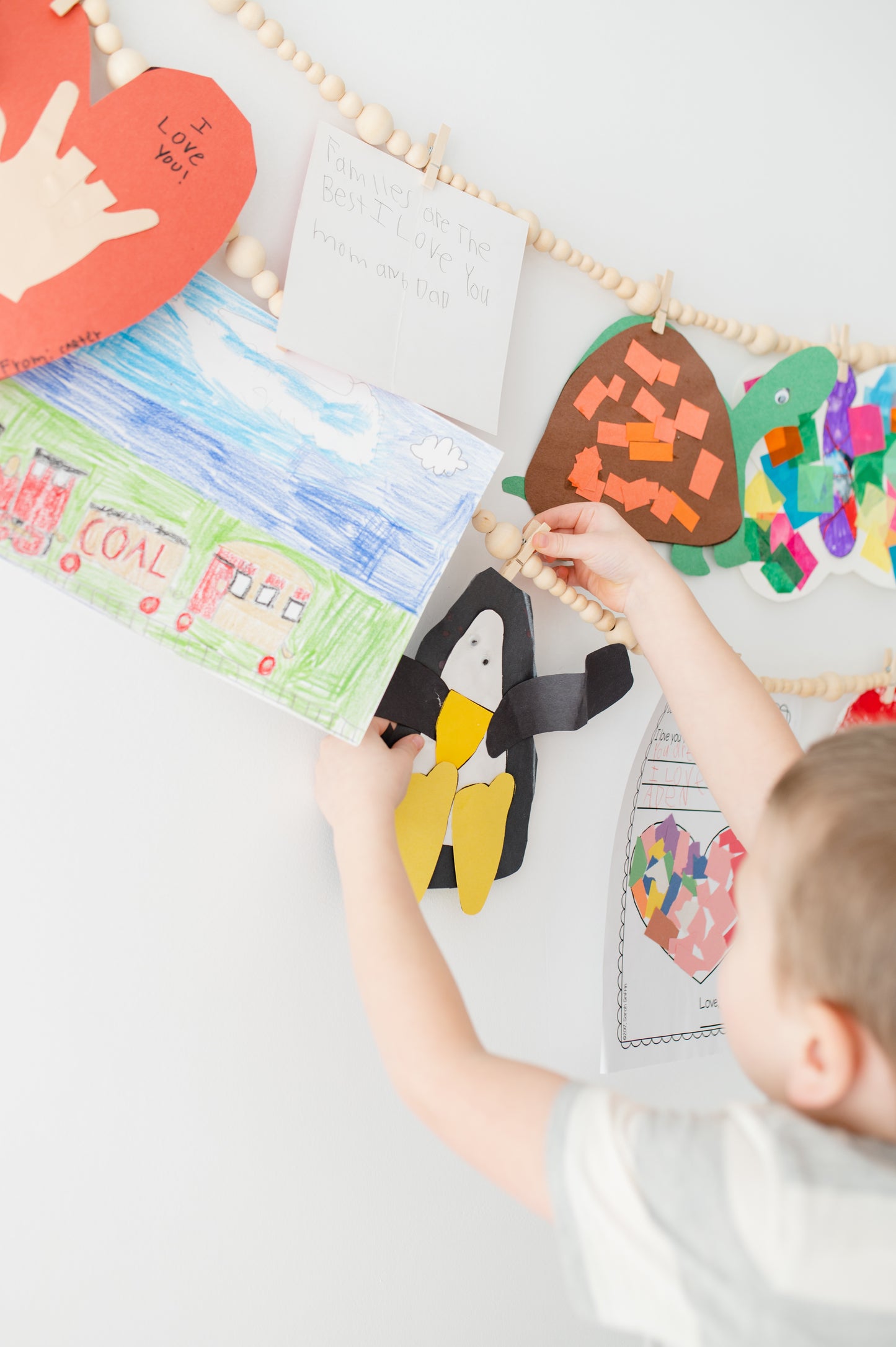 Polaroid Photo Hanging Display with Clips