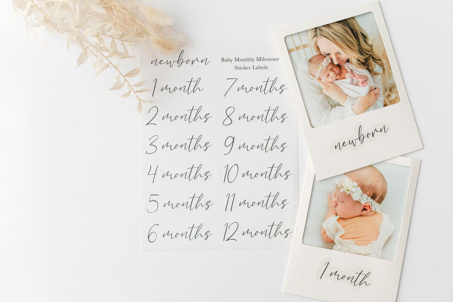 Polaroid Photo Hanging Display with Clips