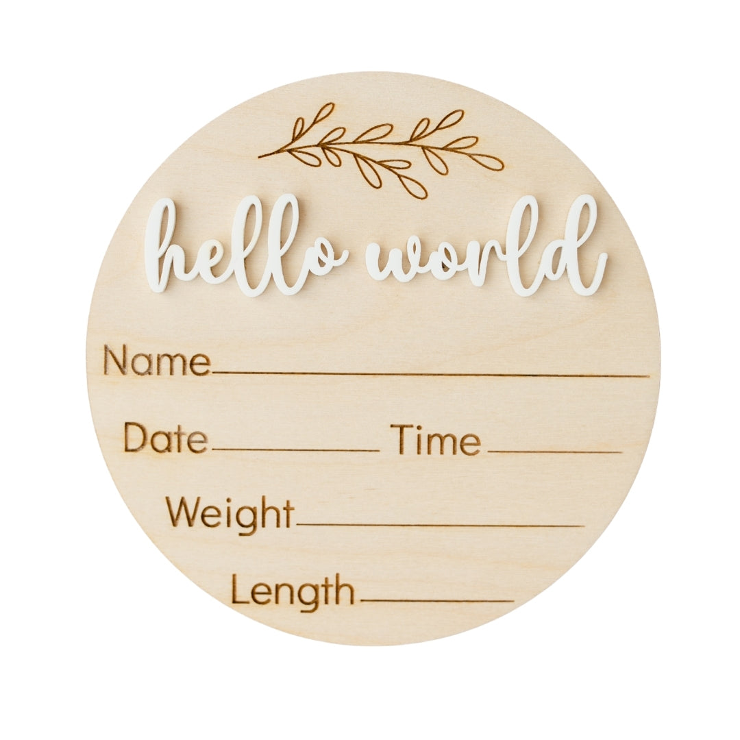 Hello World Newborn Announcement Sign | Photo Prop